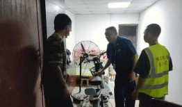 王先生爆料东莞新闻视频,东莞新闻视频背后的真实故事